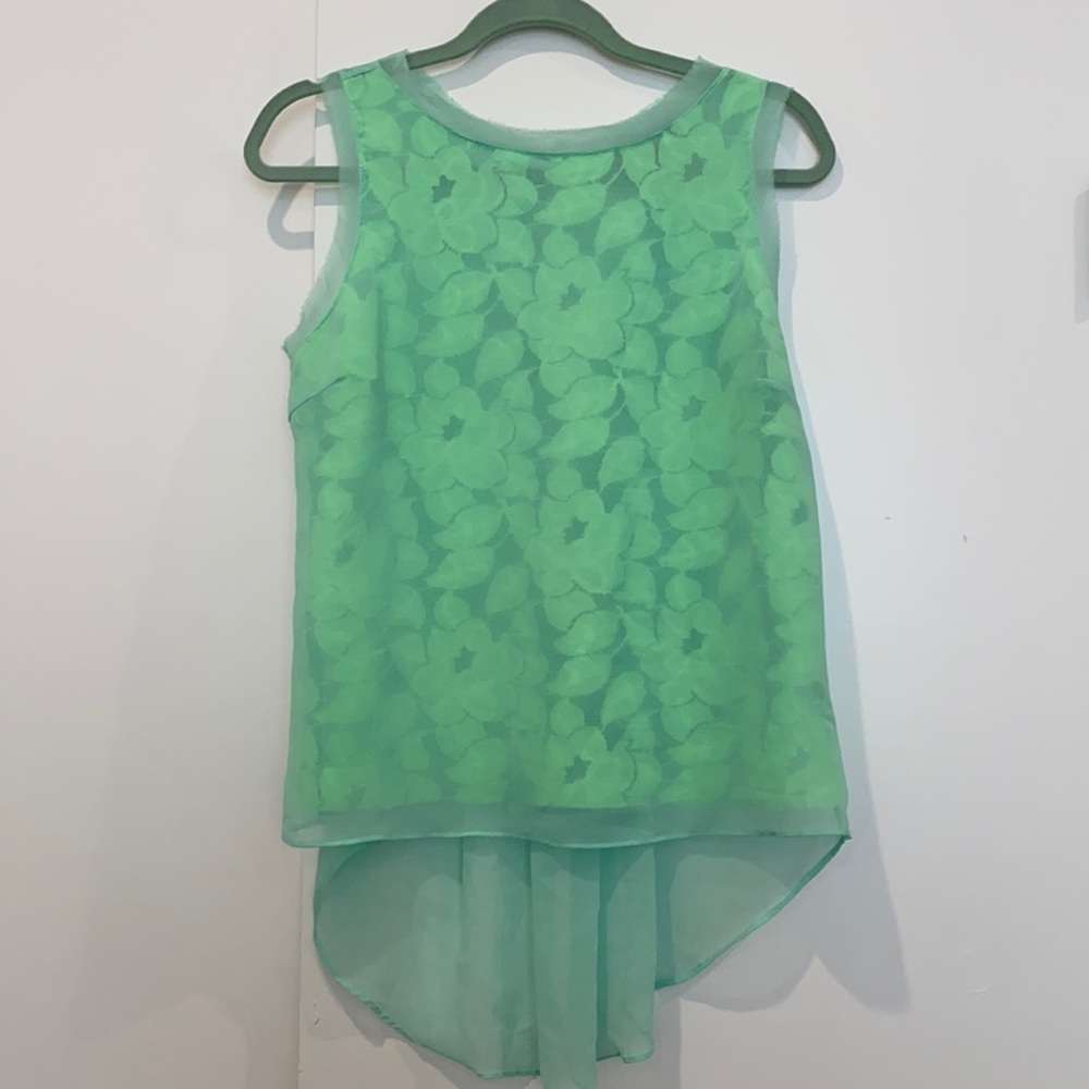 Finn & Clover See through sheer sleeveless top